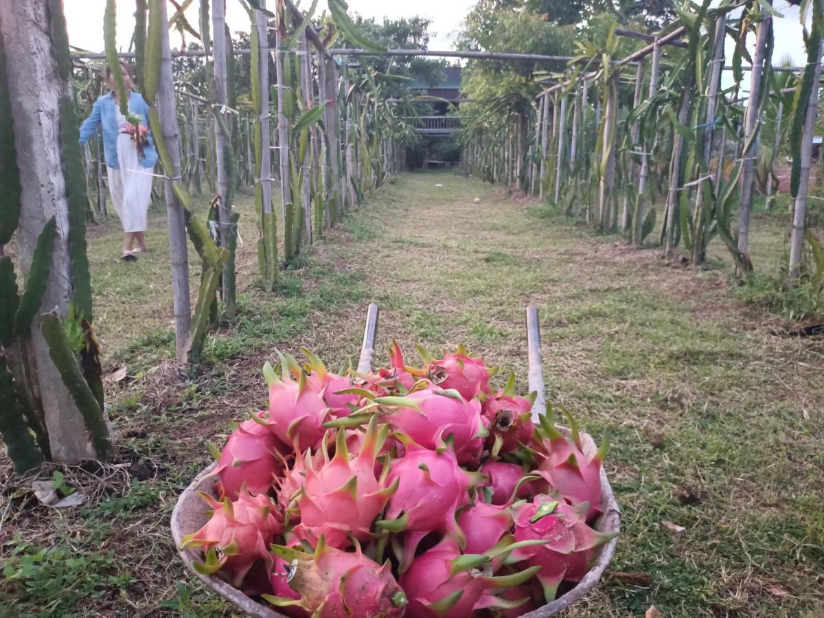 Vongkham Eco Resort เวียงจันทน์ ภายนอก รูปภาพ